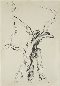 Olive - Cata Dujšin