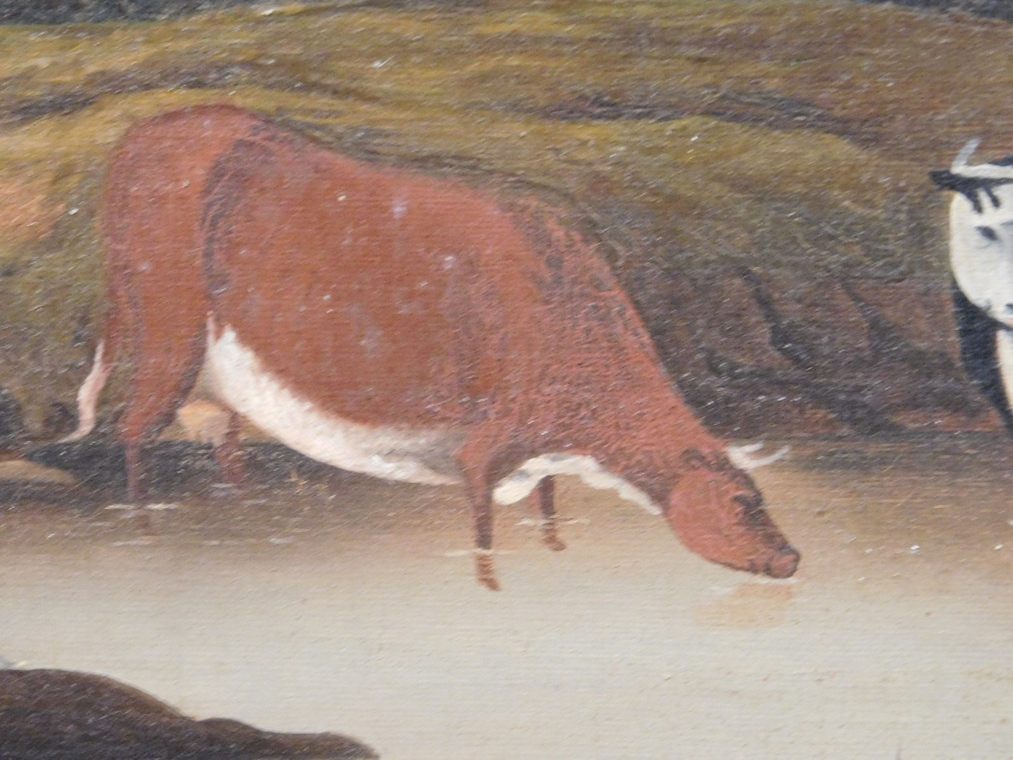 Continental School, 17th Century | Cows By a Stream (1858) | MutualArt