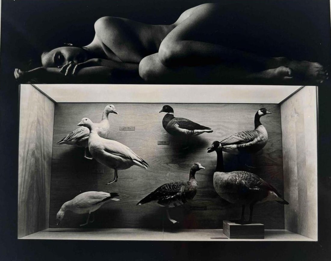 Jerry Uelsmann | 797 Artworks at Auction | MutualArt