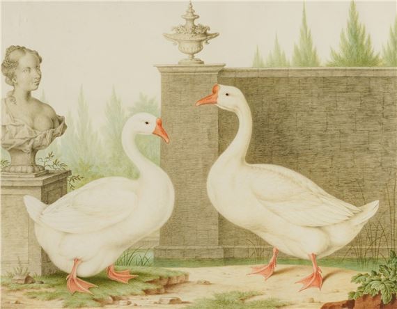 Farmyard Geese - Nicolas Robert