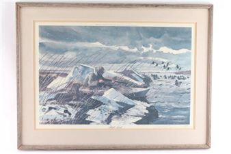 Flight Birds - Chet Reneson