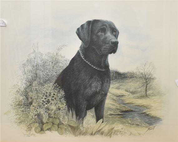 James Rowley | limited edition of a black labrador in reeds beside a ...