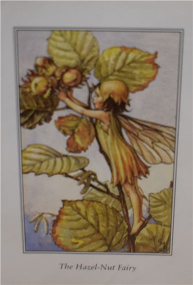 cicely-mary-barker-flower-fairies-mutualart
