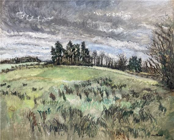 Fir Trees from Lynch Hill Lane - Enslin Hercules du Plessis