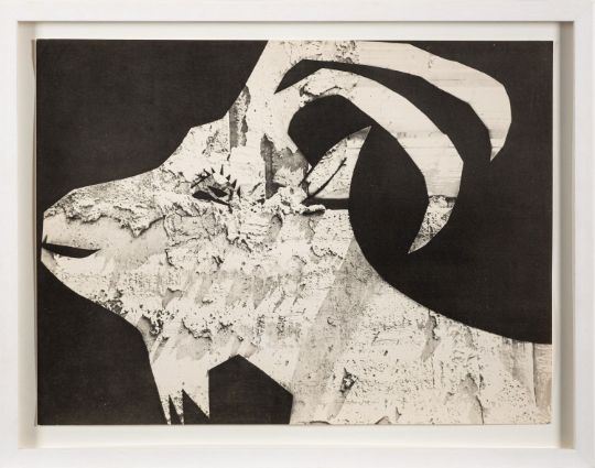 La Chevre au Gravois, The Goat with Rubble by Pablo Picasso, 1962