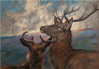 Study of red deer - Alfred William Strutt