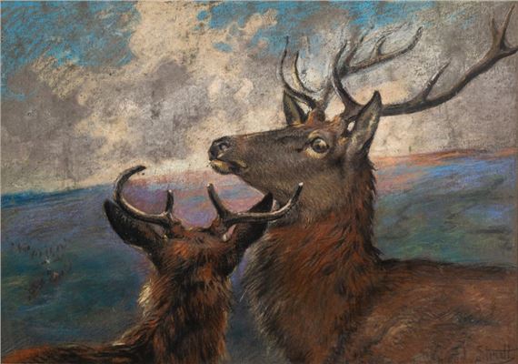 Study of red deer - Alfred William Strutt