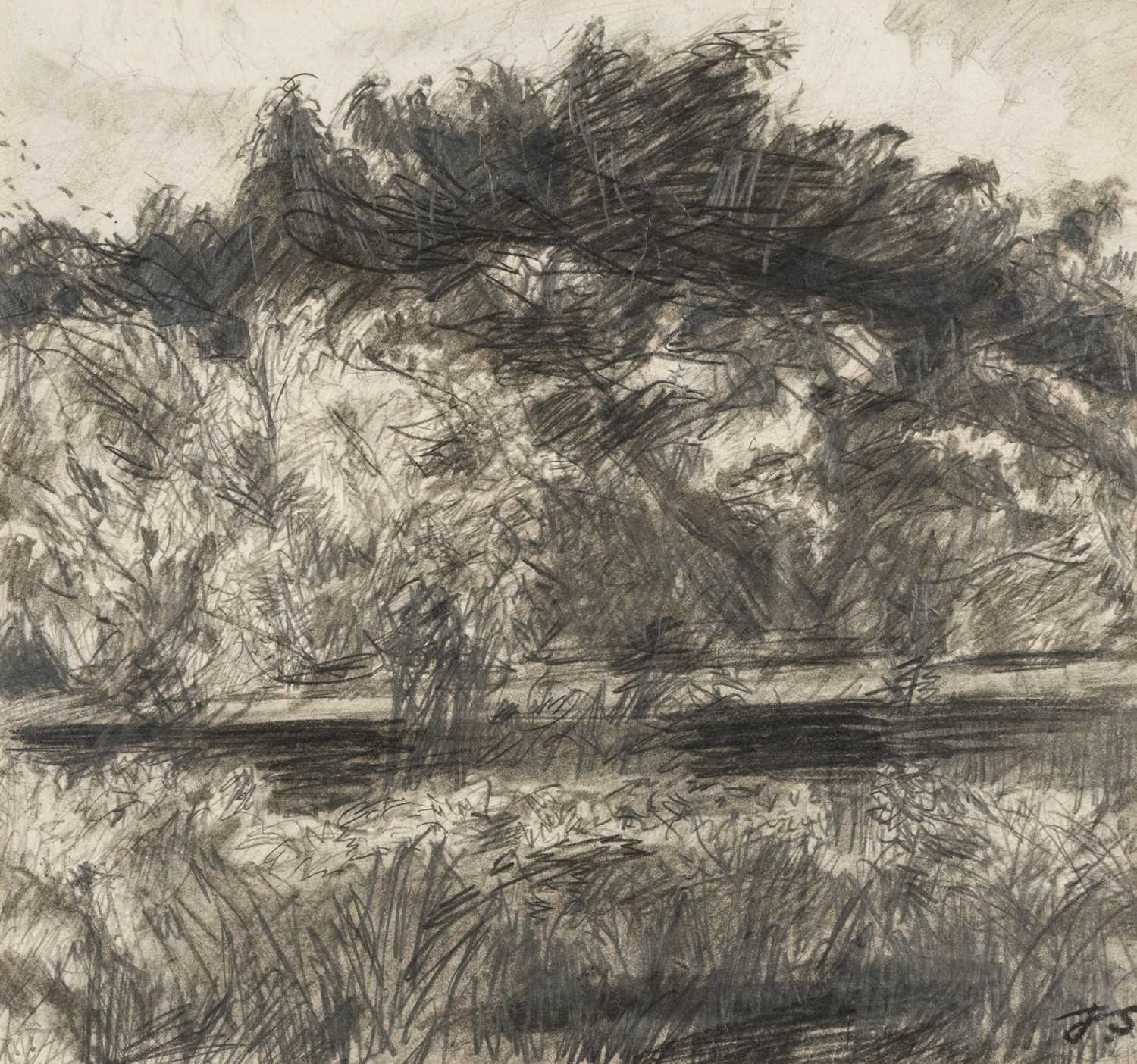 Artwork by Jack Shore, a wooded landscape, Made of Pencil On Paper
