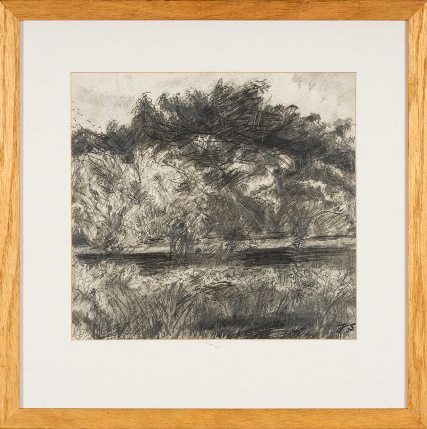 Artwork by Jack Shore, a wooded landscape, Made of Pencil On Paper