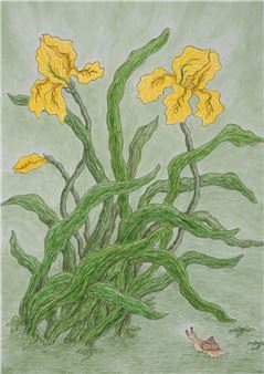 Hyunia Jung: Green Breeze - 67 York Street Gallery