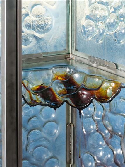 Agata Ingarden. Desire Path - Kunsthalle Appenzell