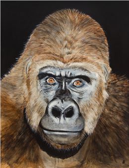 Gorille IV - Serge Lemonde