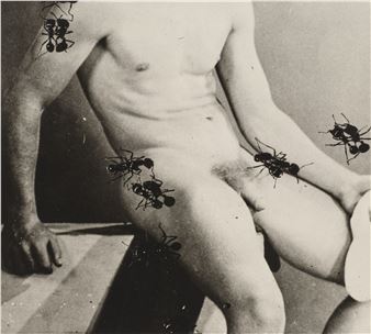 Untitled (Desire) - David Wojnarowicz
