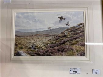 Set of five contemporary watercolour works depicting various game birds such as Grouse and Pheasant in differing landscapes - Owen Williams