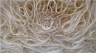 Untitled & Unbridled: Tara Donovan’s Installations