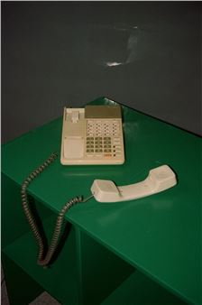 Helena Ramos: The life of the bee - Serralves Museum of Contemporary Art