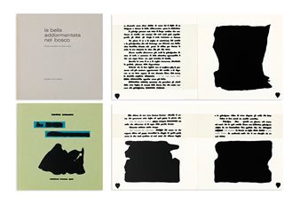 La bella addormentata nel bosco - Emilio Isgrò