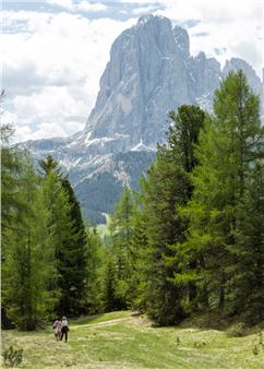 Biennale Gherdëina 10: (Future) Paradise Gardens