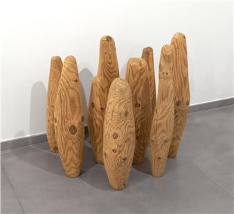 Nine cones - Nicholas Pope