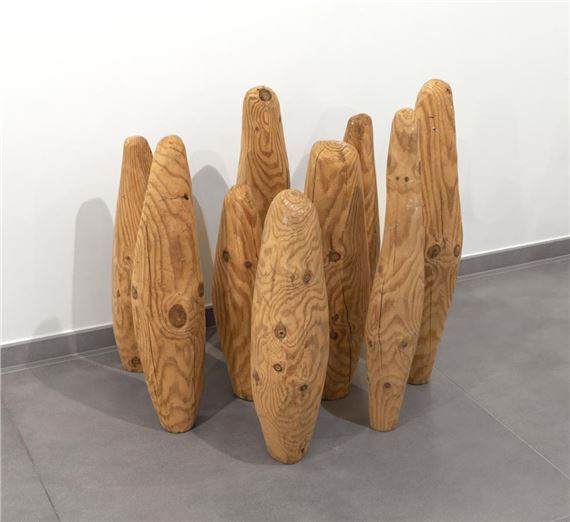 Nine cones - Nicholas Pope