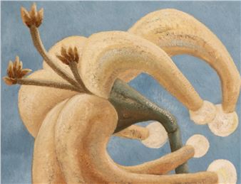 Rayana Rayo: Yo soy semilla - Travesia Cuatro, Guadalajara