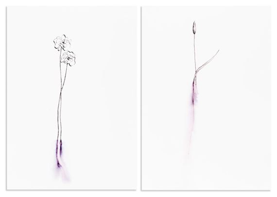 Cavalleria rusticana nr. 3 - Kris Martin