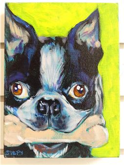 BOSTON TERRIER - Alessandra Sulpy