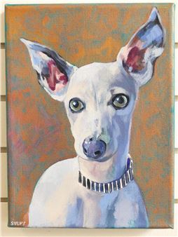 ITALIAN GREYHOUND - Alessandra Sulpy