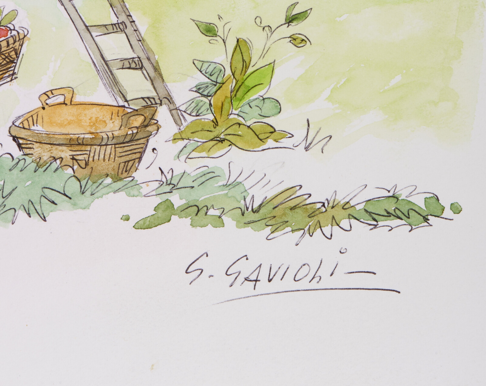 Artwork by Gino Gavioli, Humorous illustration from Gamma Film on Carosello, Made of colored ink on paper