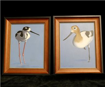 Avocet No. 730 - W. Robert Tolley