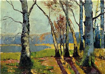 view through autumn trees on a lake - Conrad Wimmer