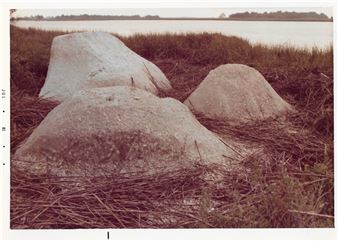 Beverly Buchanan: Weathering