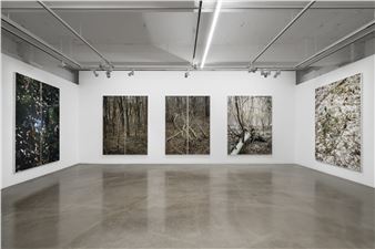 Heeseung Chung: Wilder - Gallery Baton
