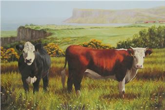 CATTLE ON THE ANTRIM COAST - Keith Glasgow