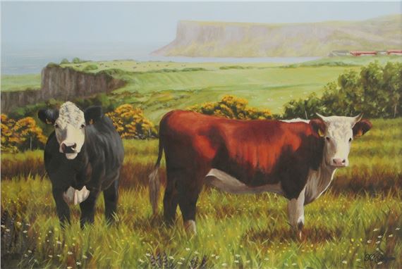 CATTLE ON THE ANTRIM COAST - Keith Glasgow