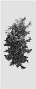 Lenka Falušiová: When the Rain Grows Quiet - Kvalitař Gallery