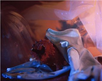 Rachel Rose - Memorial Art Gallery, University of Rochester