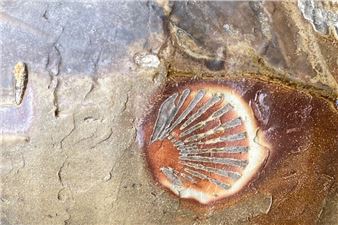 Nick Schwartz: Modern Fossils - Municipal Bonds