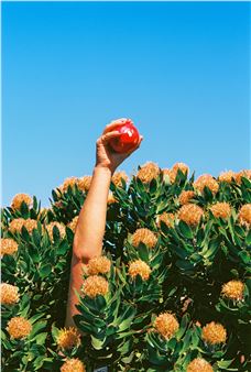 LOOK! MAPh Members photography prize - Museum of Australian Photography (MAPh)