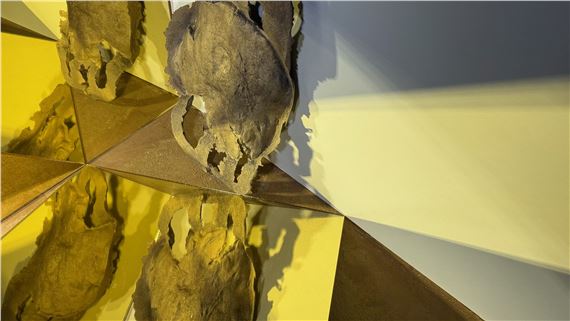 Rebeca Bollinger: (~) Echo (  ) - Museum of Contemporary Art Tucson