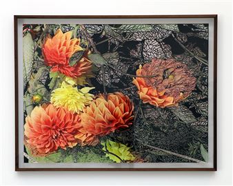 Soo Kim: (Charlie sings in the quietest voice)