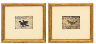 Common Grackle And Ruby-Crowned Kinglet - Robert Bruce Horsfall