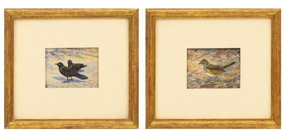 Common Grackle And Ruby-Crowned Kinglet - Robert Bruce Horsfall