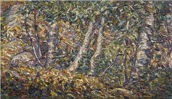 The sun among the birch trees - Alagna - Filiberto Minozzi