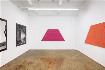 Daniel Temkin bends logic and nature in Higher Pictures' first in-person show