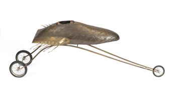 Aerotrike - Paul Ripley Jenkins