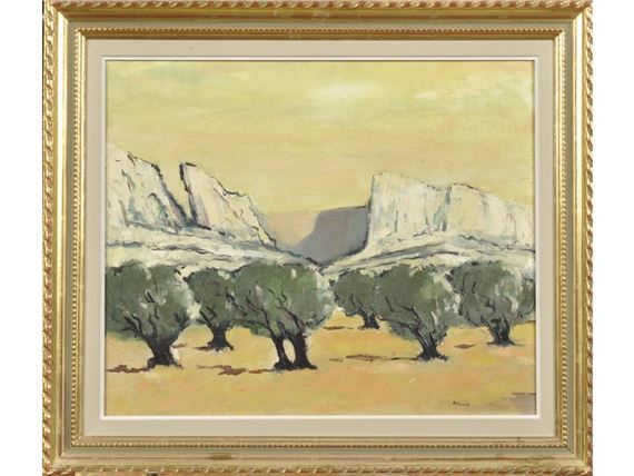 Les oliviers dans les Alpilles