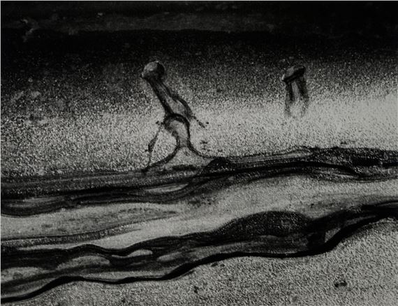 FROM THE SWAMPS FROM THE SERIES TABULARIA