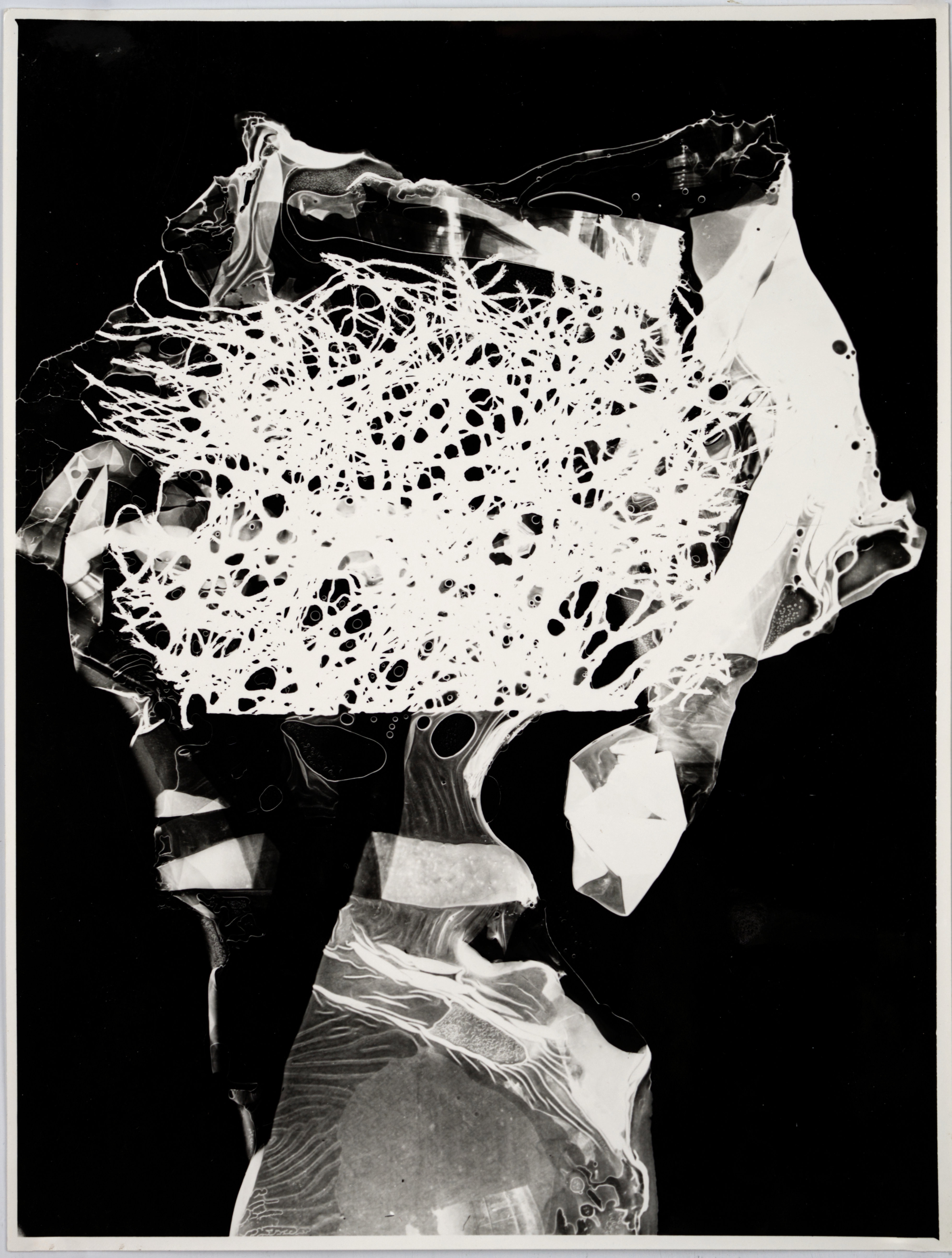 Artwork by Josef Istler, HEAD, Made of Gelatin Silver Print On Glossy Paper