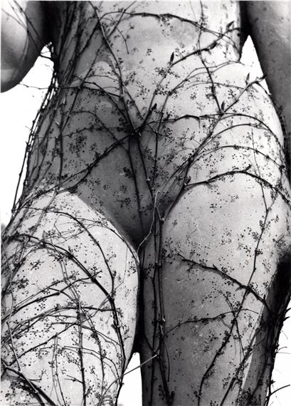 TRAPS by Vilém Reichmann, 1946